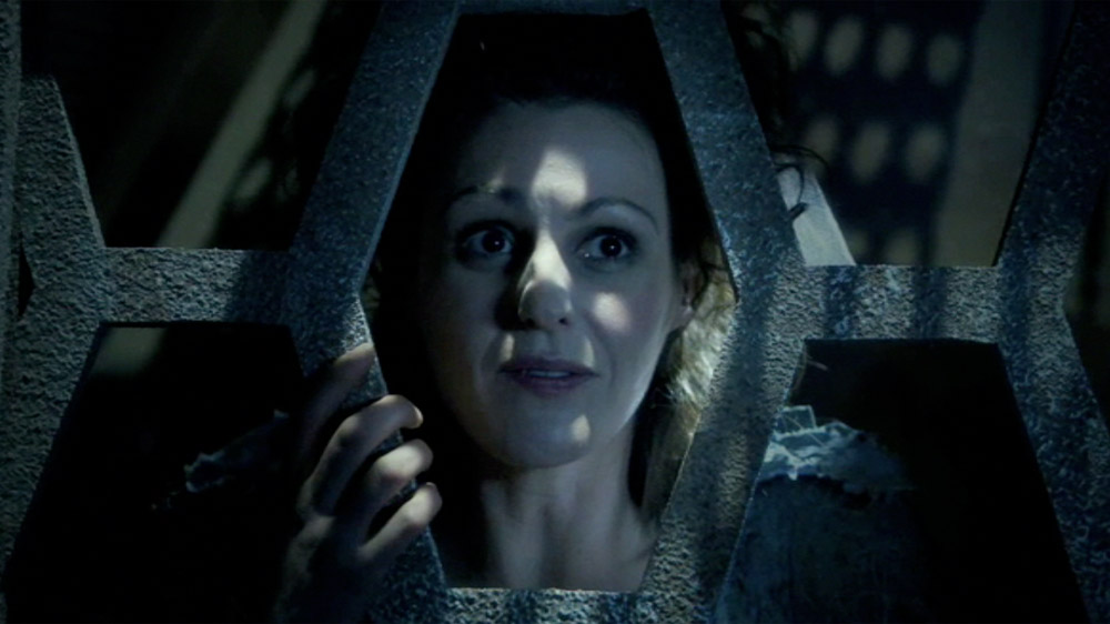 Doctor Who The Doctors Wife