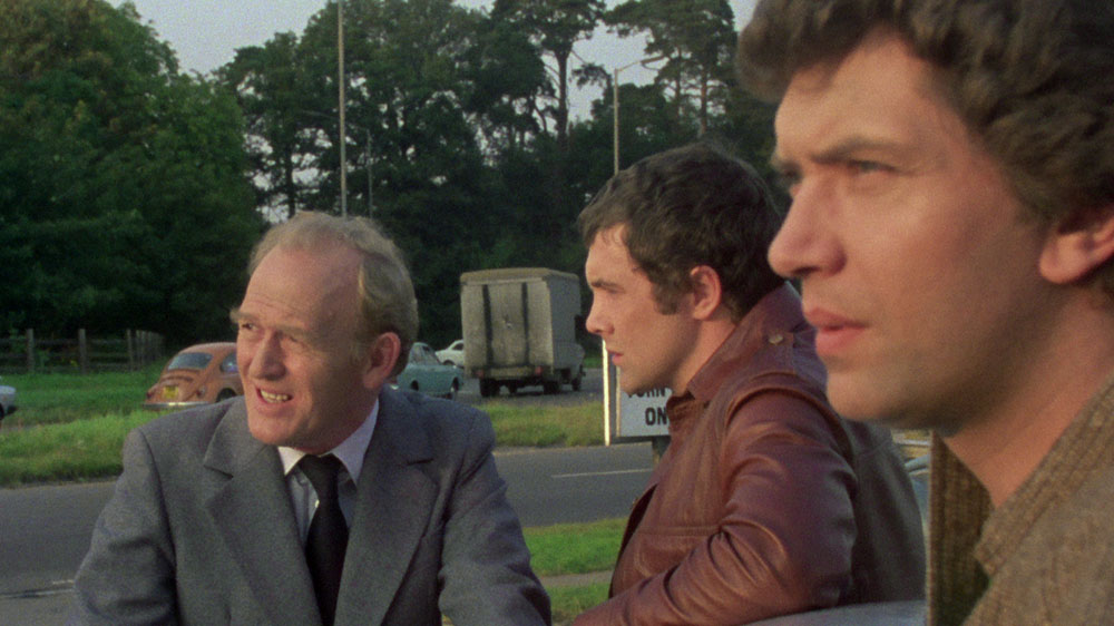 the professionals