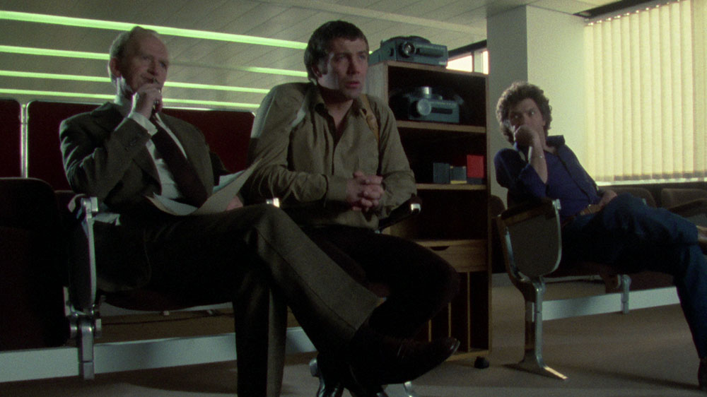 the professionals